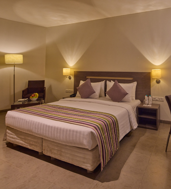 IBIS Standard